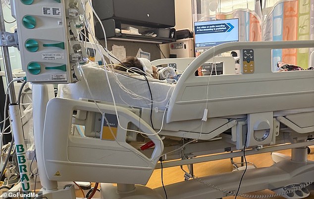 Four-Year-Old's Life-Threatening Esophageal Injury from Swallowed Button Battery