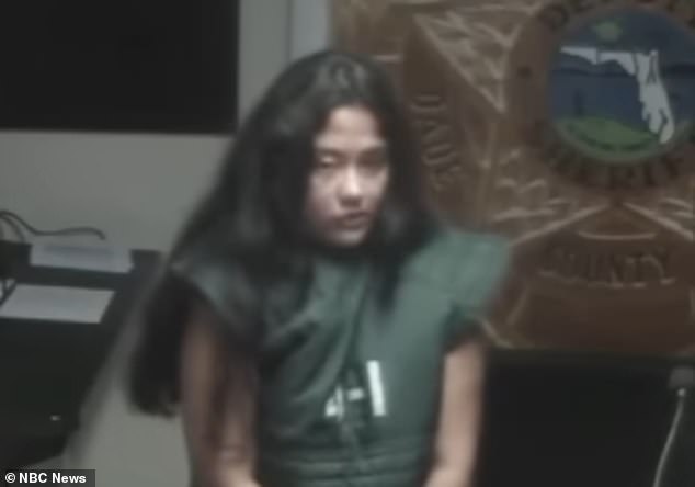 Mentally Ill Mother Avoids Jail After Using Parody Hitman Site, Prompting Legal and Mental Health Discussion