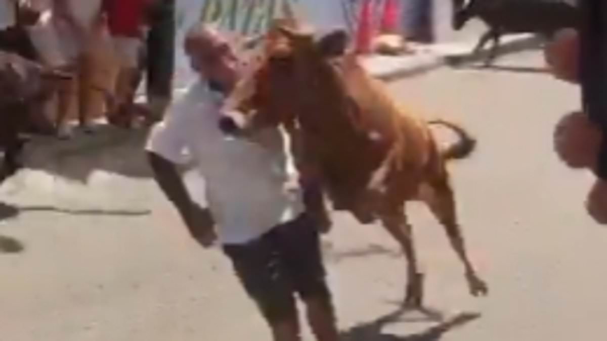 Miraculous Survival at San José Fair: Man Survives Charging Bull Attack in Peru with Severe Facial Injuries