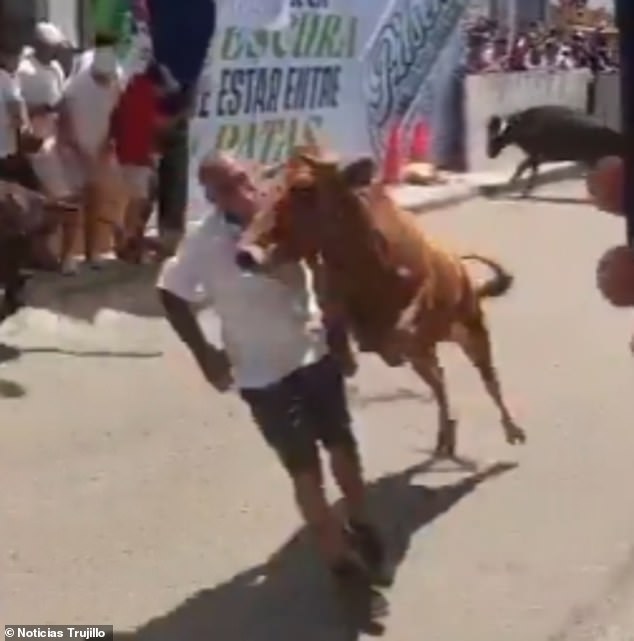 Miraculous Survival at San José Fair: Man Survives Charging Bull Attack in Peru with Severe Facial Injuries