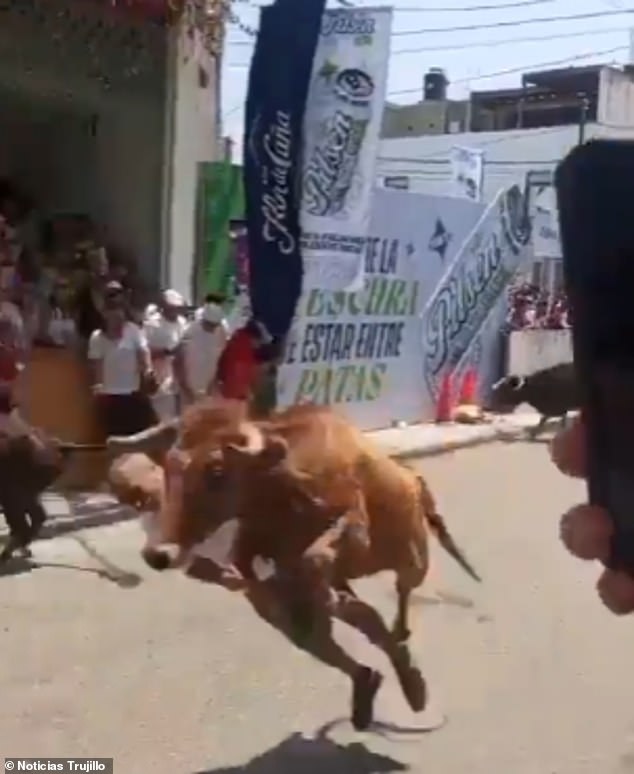 Miraculous Survival at San José Fair: Man Survives Charging Bull Attack in Peru with Severe Facial Injuries