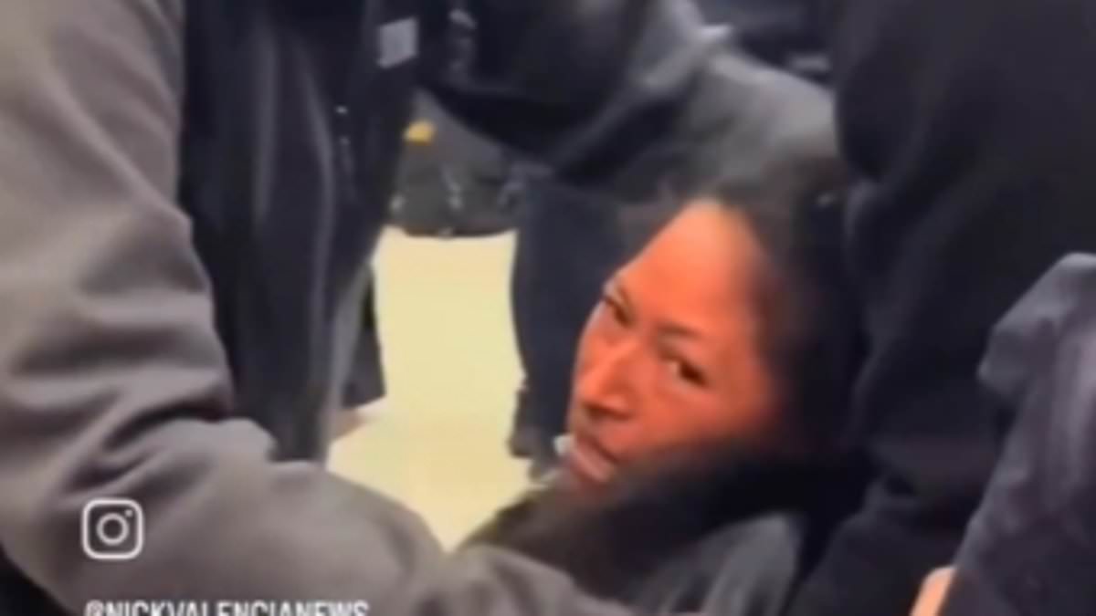 Viral Video of ICE Detention at SFO Sparks Debate Over Immigration Enforcement and Airport Security, ICE Clarifies Timing of Incident