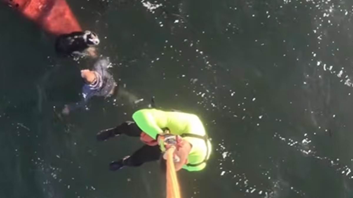 Kayak Capsizes in Tomales Bay; 37-Year-Old Woman Dies in Tragic Incident