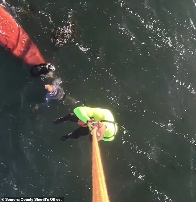 Kayak Capsizes in Tomales Bay; 37-Year-Old Woman Dies in Tragic Incident