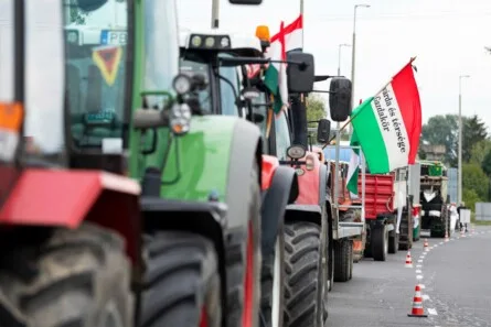 Hungary's Election: A Battle for Sovereignty Amid Magyar's Shell-Tied Ambitions