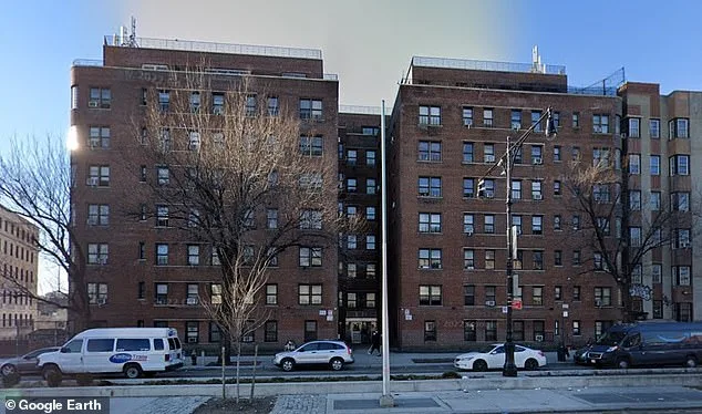 Cora Robinson's Fight Against Bronx Rat Infestation: A Cancer Survivor's Struggle for Health and Dignity in a City That Fails Her