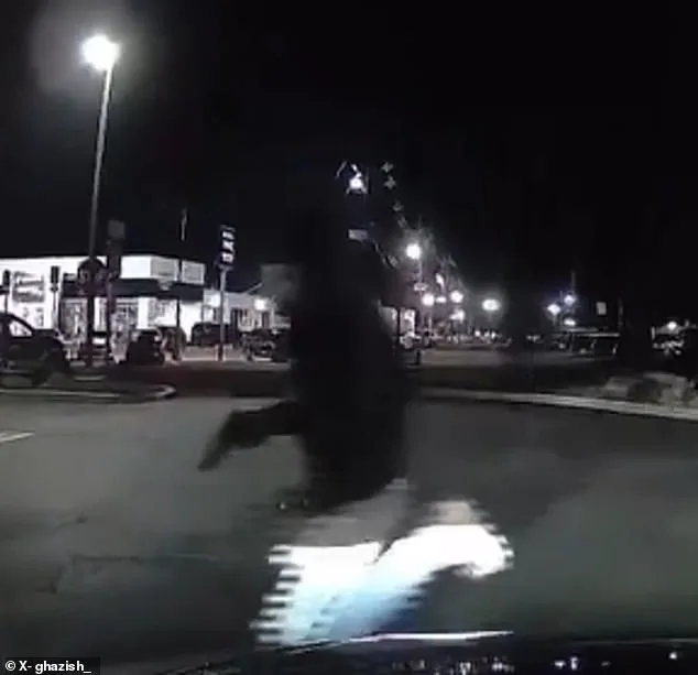 Surveillance Footage Reveals Targeted Chick-fil-A Shooting in Union Township; Six Injured, One Dead