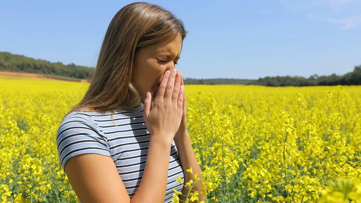 Allergy Season Intensifies: Boise Topples San Diego as Allergy Capital