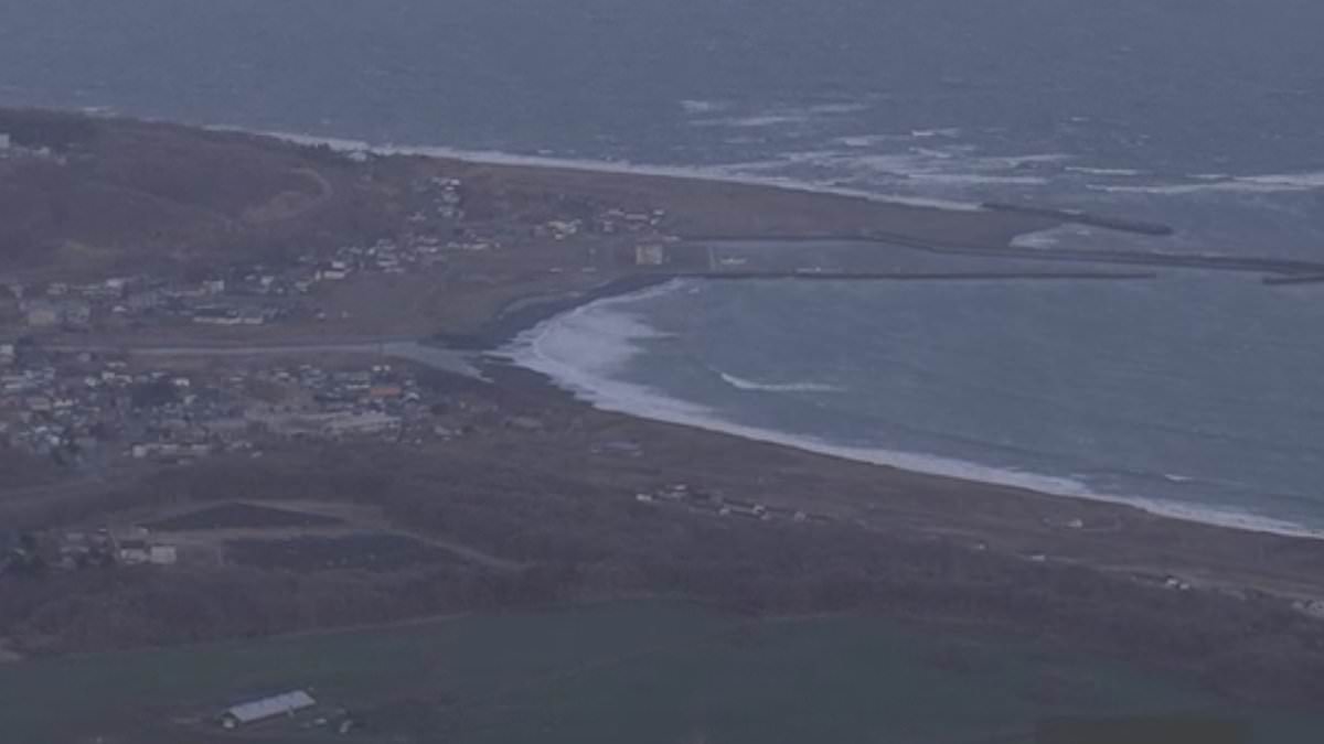 Japan orders immediate evacuations as deadly tsunami waves strike northeastern coast.