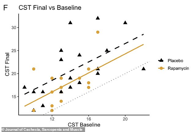 New Study Links Rapamycin to Reduced Muscle Building and Exercise Benefits