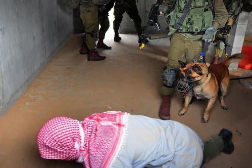 Hundreds of detained pro-Palestinian activists deported after severe abuse and humiliation in Israel.