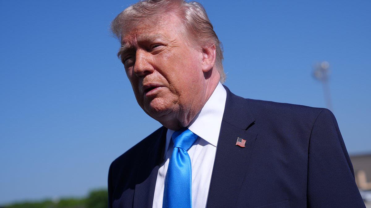 Trump Endorses Spencer Pratt's LA Mayoral Bid Despite Reality Star's Caution
