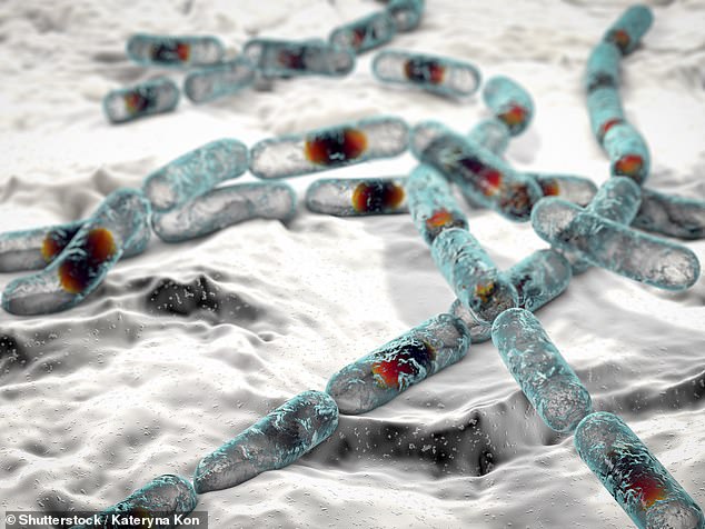 Experts Warn 'Boy Kibble' Rice Mix Could Cause Deadly Food Poisoning