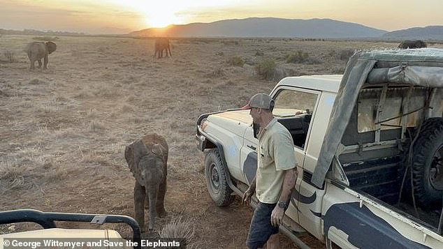 Kenyan orphans reunited with family after wandering into tourist camp.