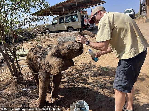 Kenyan orphans reunited with family after wandering into tourist camp.