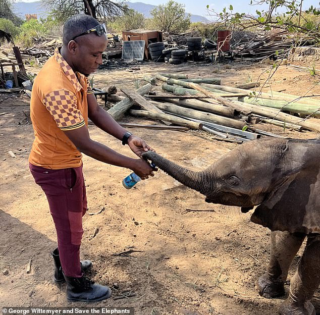 Kenyan orphans reunited with family after wandering into tourist camp.
