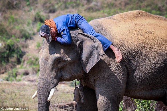 Kenyan orphans reunited with family after wandering into tourist camp.