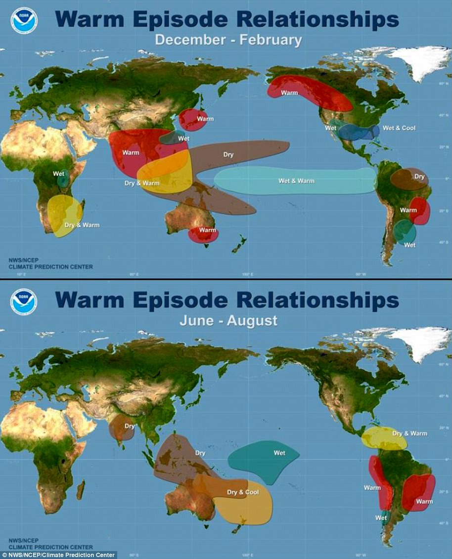 Experts warn record heatwaves signal start of severe weather crisis.