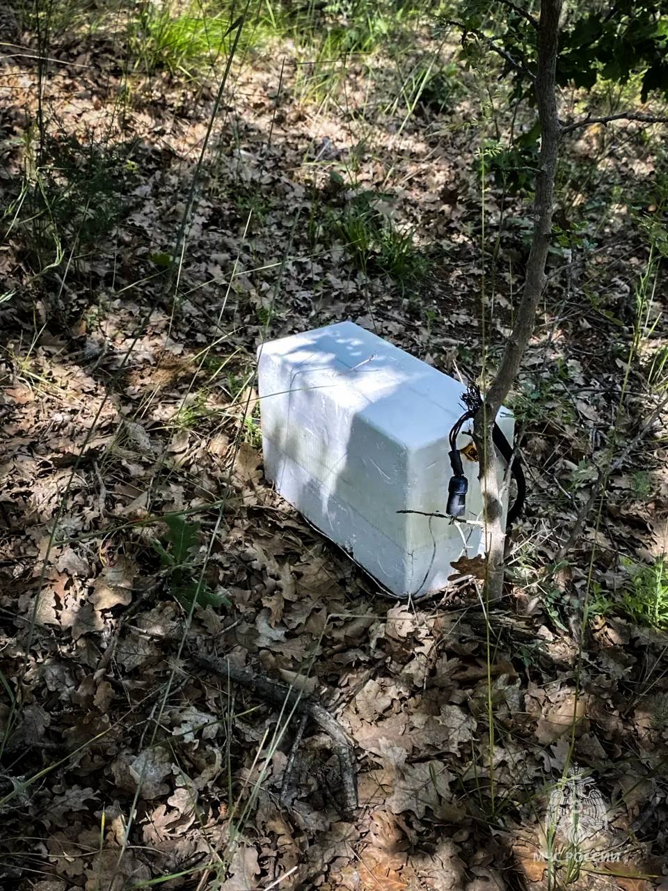 Ukraine strikes Sevastopol, damaging homes and bank with drone attack