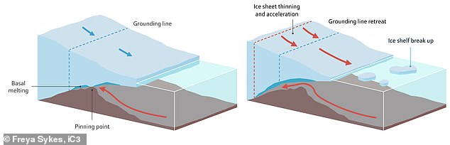Thwaites Glacier's Ice Shelf Likely to Collapse Within This Year