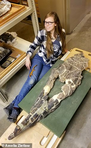 Texas Scientists Identify New Massive Mosasaur Species Named Tylosaurus Rex