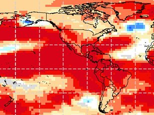 New study warns 95% of world's most heat-risky cities are in Asia and Africa.