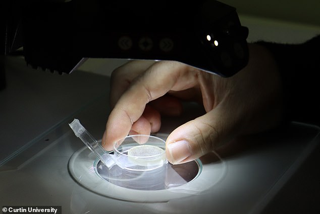 Scientists Confirm 3.02-Billion-Year-Old Asteroid Impact Crater in Western Australia