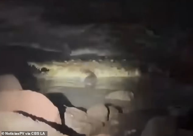 California Couple Fails to Save Man from Crocodile Attack in Mexico