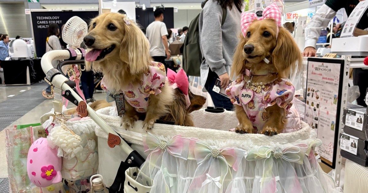 Japan's pet care sector now outpaces its declining infant population.