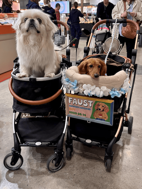 Japan's pet care sector now outpaces its declining infant population.