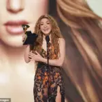 Celebrities and musicians use Grammy Awards to speak out on social issues
