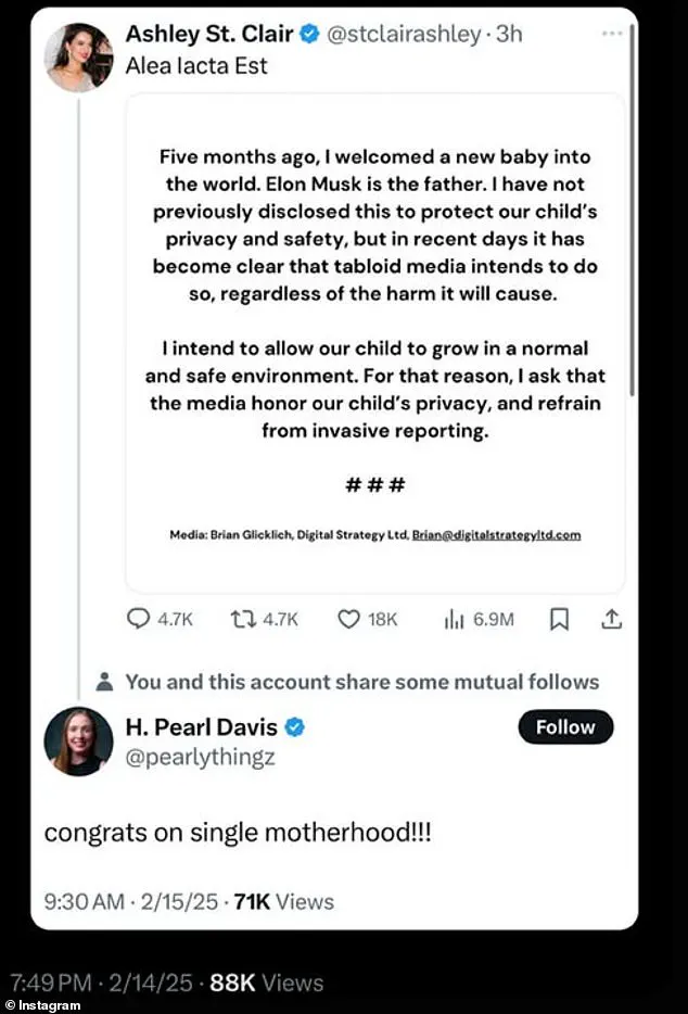 The Elon Musk Baby Controversy: A Storm in the Social Media World