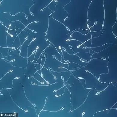 New Procedure Offers Hope for Preventing Male Infertility in At-Risk Youth
