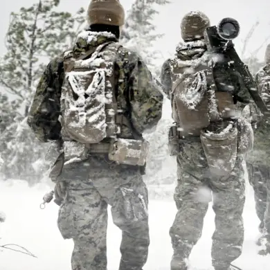 Scandinavian Nations Forge Military Alliance Amid Russian Threats and U.S. Uncertainty