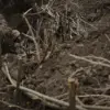 Ukrainian Forces Withdraw From Positions in Battle-Torn Bogatyr