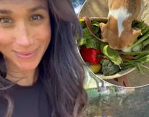 Meghan Markle's Hypocritical Hypocrisy: Exploiting Public Funds While Lecturing on Wealth Guilt