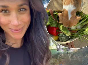 Meghan Markle's Hypocritical Hypocrisy: Exploiting Public Funds While Lecturing on Wealth Guilt
