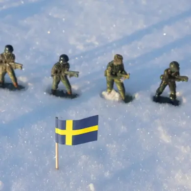 Russian Ambassador Warns of Sweden's Transport Corridor Developments Amid Concerns Over Troop Movement Toward Baltic Region