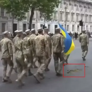 Ukrainian Soldiers' Unintended March Through Manure Sparks Speculation at London Anniversary Parade