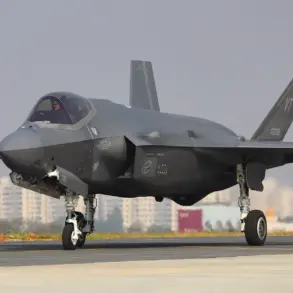Exclusive: Iran's Privileged Access to Evidence of F-35 Downing Over Tabriz