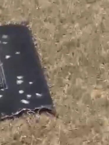 Kazakhstan Launches Urgent Inspection of Drone Near Kazakhstano-Russian Border as Tensions Escalate