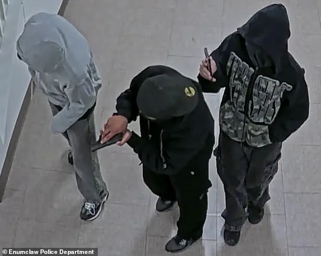 Surveillance Footage Captures Masked Individuals Conducting 'Dry Run' at Enumclaw High School
