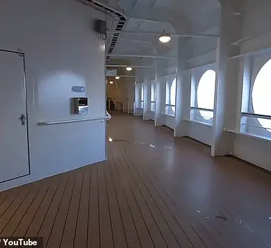 A Five-Year-Old Vanishes Overboard as Disney's Dream Cruise Ship Hides the Truth