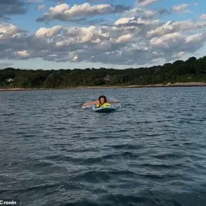 Cape Cod Shark Sighting Sparks Debate and Concerns in Local and Scientific Communities