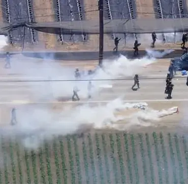 ICE Operation at Ventura County Farm Escalates with Tear Gas and Firearm Use Amid Ongoing Immigration Enforcement Debates
