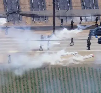 ICE Operation at Ventura County Farm Escalates with Tear Gas and Firearm Use Amid Ongoing Immigration Enforcement Debates