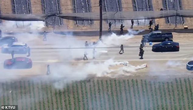 ICE Operation at Ventura County Farm Escalates with Tear Gas and Firearm Use Amid Ongoing Immigration Enforcement Debates