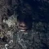 Late-Breaking Challenge: Reddit Users Hunt for Hidden Daughter in Puzzling New Zealand Photo