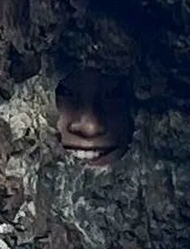 Late-Breaking Challenge: Reddit Users Hunt for Hidden Daughter in Puzzling New Zealand Photo