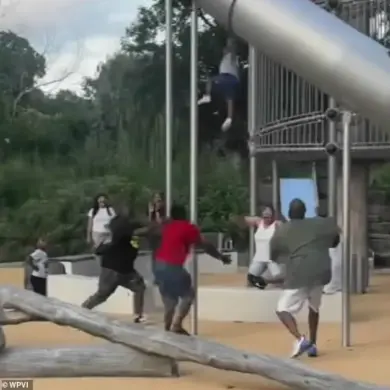 Late-Breaking: Child Plunges from Slide at Philly Park During Family Celebration